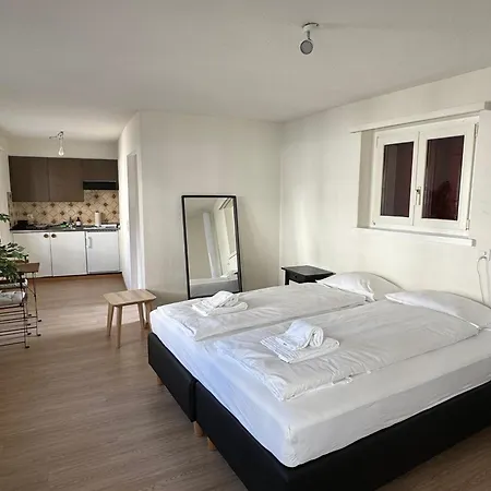Apartamento Comfortable In Great Location Zurique